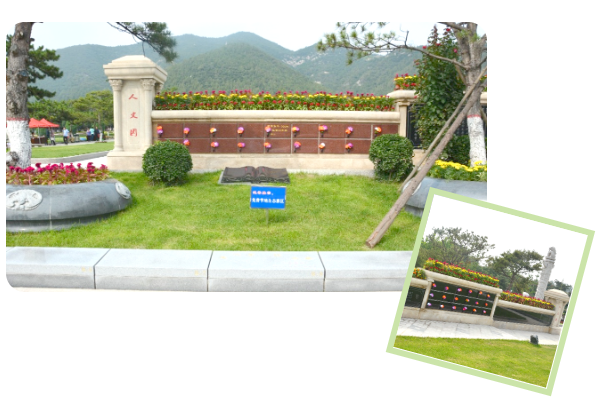 永乐高·(中国区)官方网站