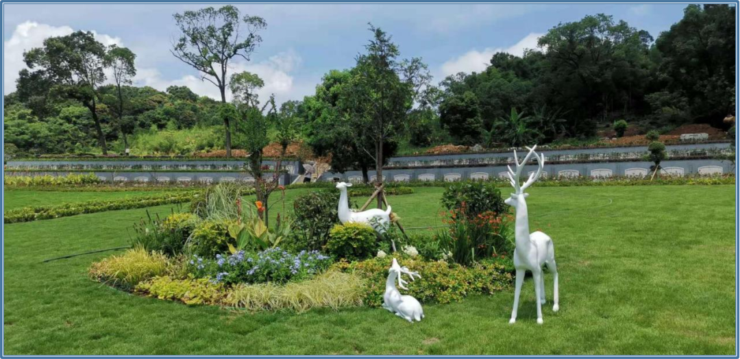 永乐高·(中国区)官方网站