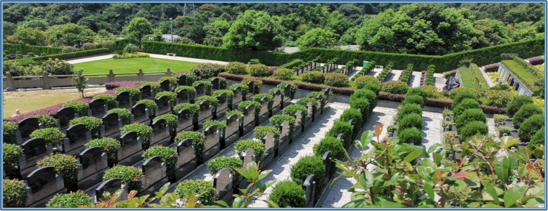 永乐高·(中国区)官方网站