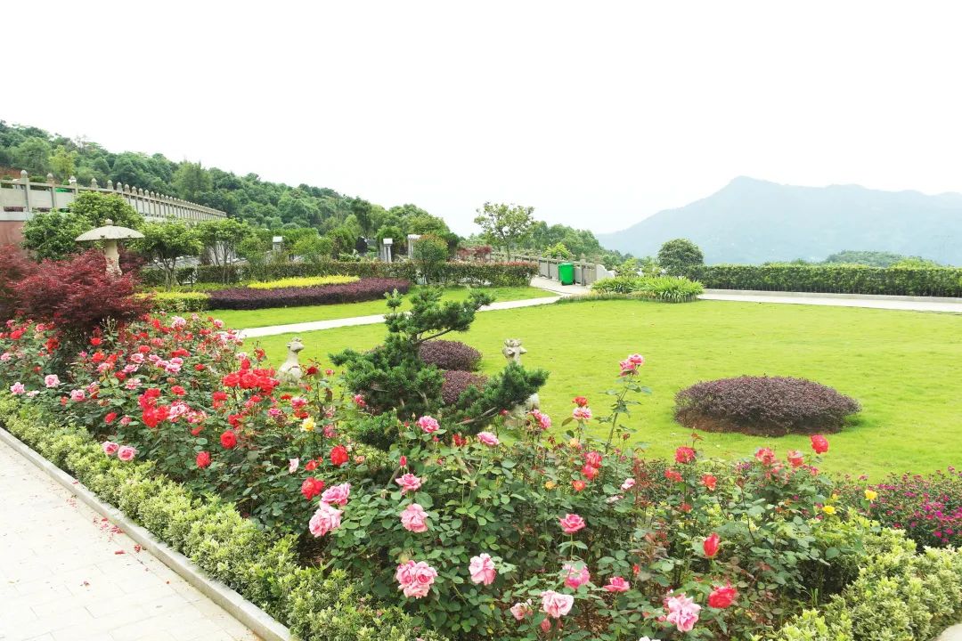 永乐高·(中国区)官方网站