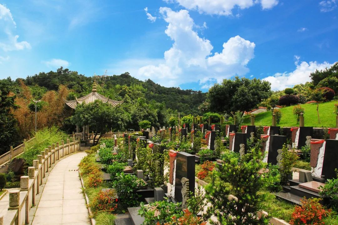 永乐高·(中国区)官方网站