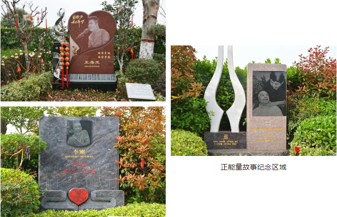 永乐高·(中国区)官方网站