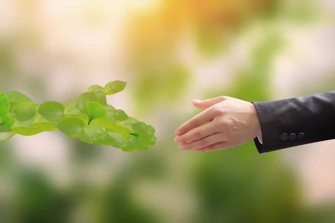 永乐高·(中国区)官方网站