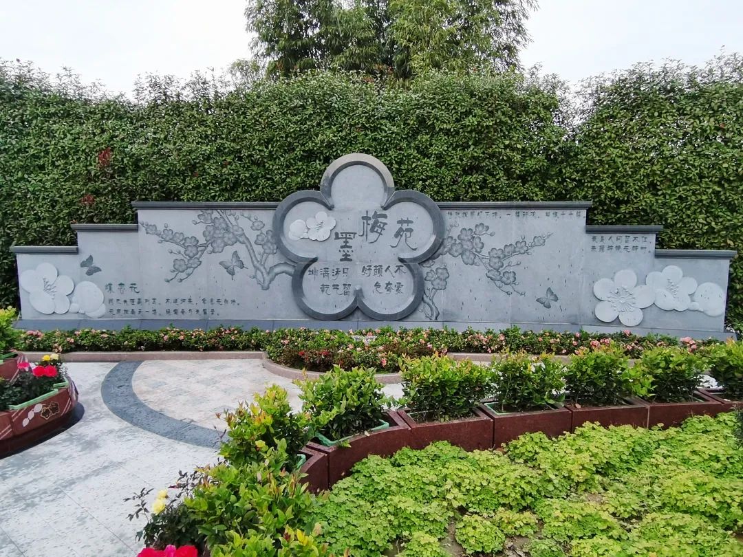 永乐高·(中国区)官方网站