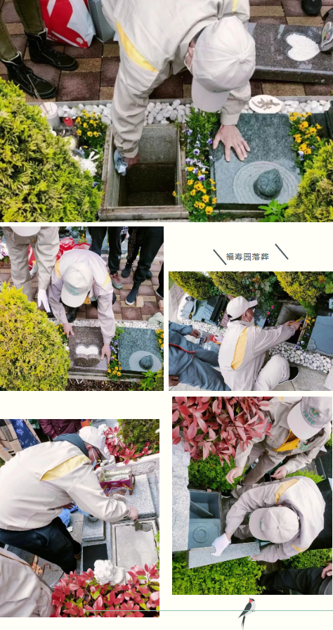 永乐高·(中国区)官方网站