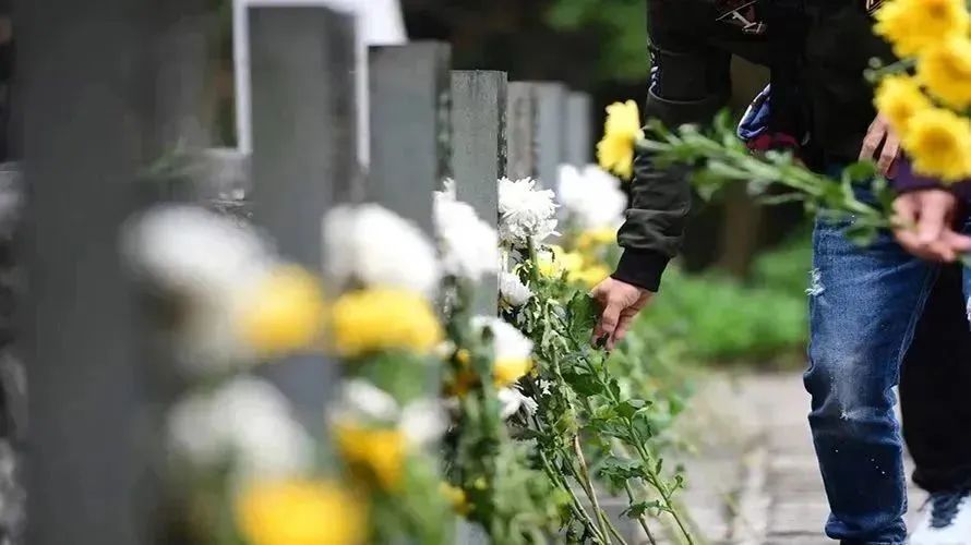 永乐高·(中国区)官方网站