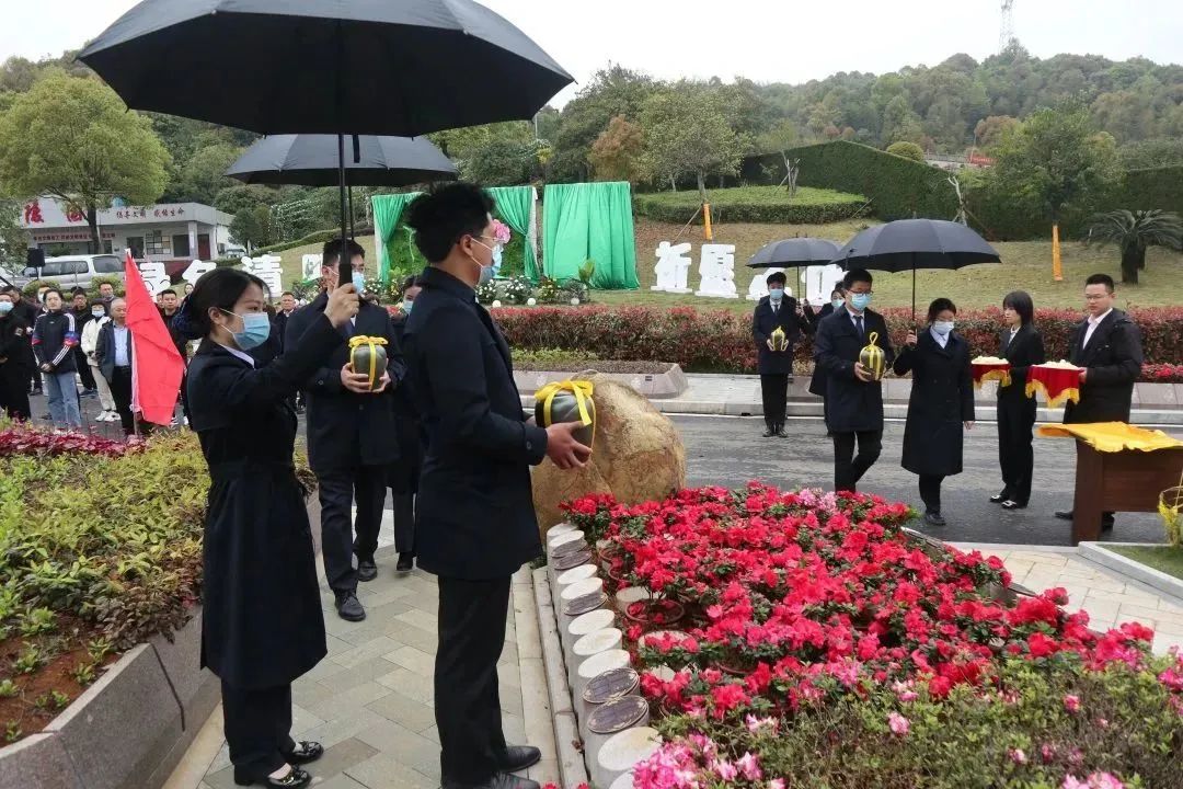 永乐高·(中国区)官方网站