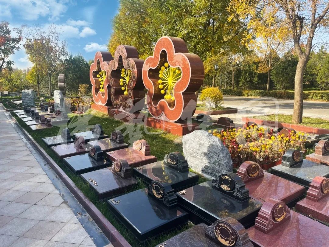 永乐高·(中国区)官方网站