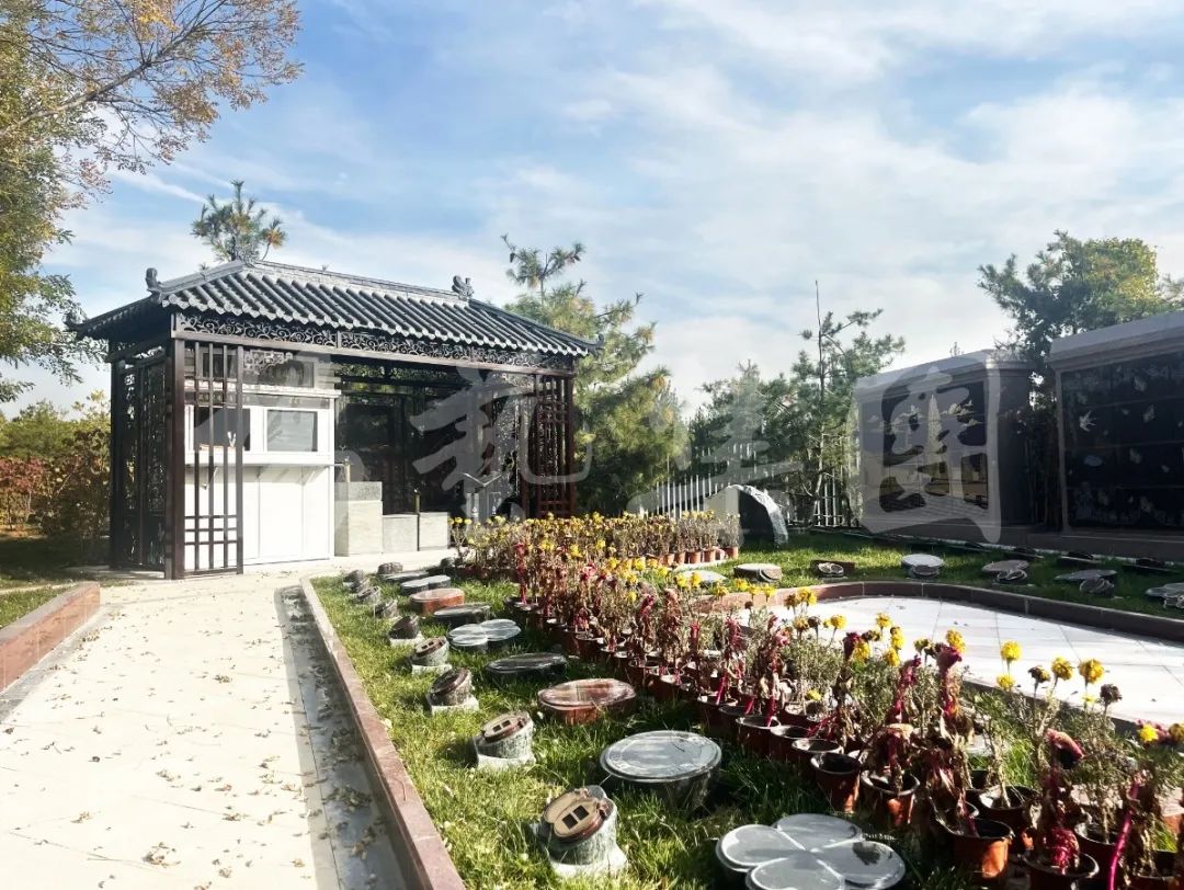 永乐高·(中国区)官方网站