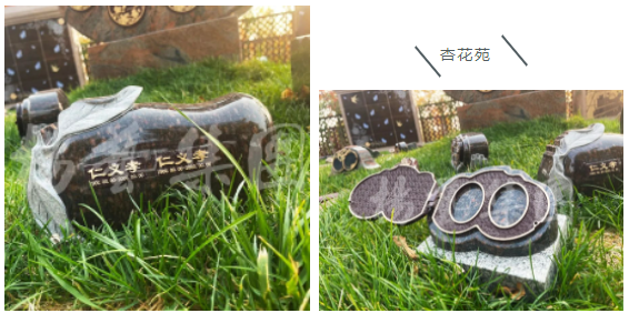 永乐高·(中国区)官方网站