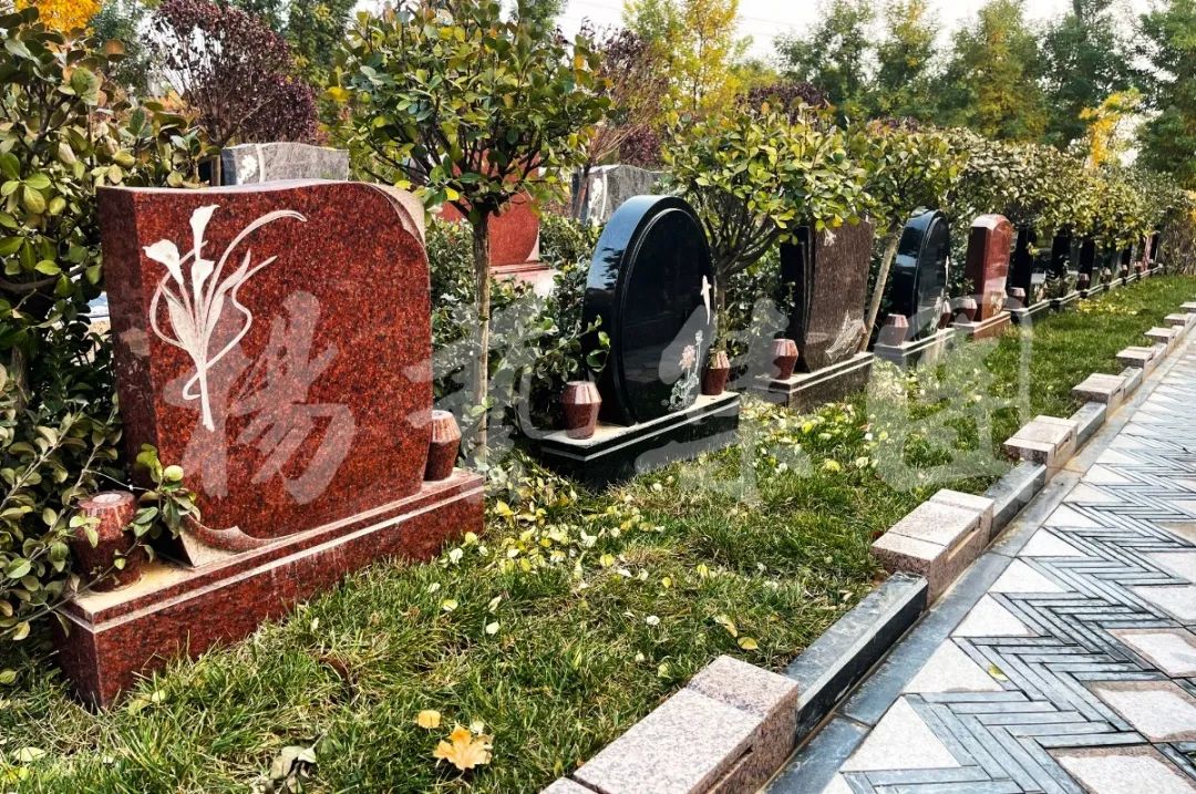 永乐高·(中国区)官方网站