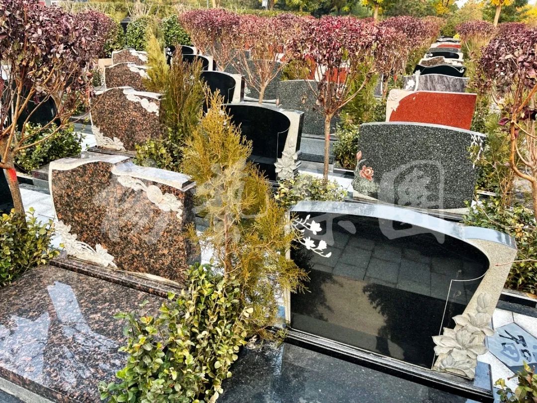 永乐高·(中国区)官方网站