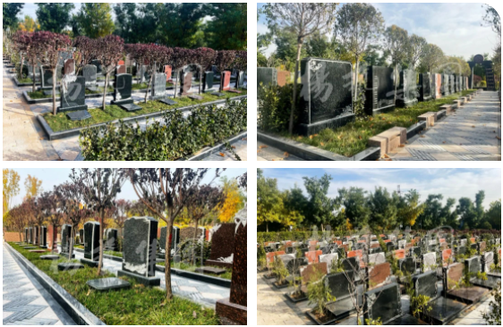 永乐高·(中国区)官方网站