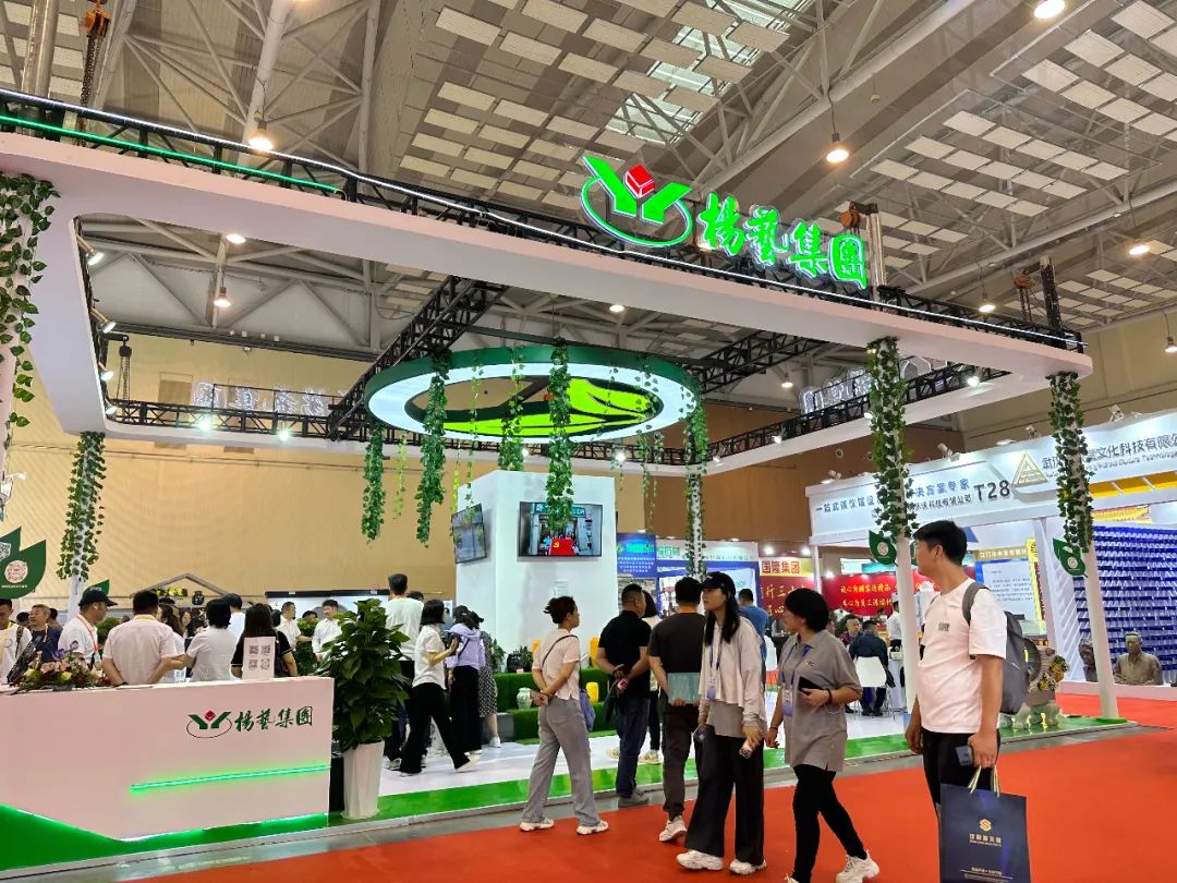 永乐高·(中国区)官方网站