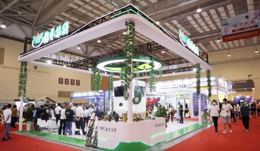 永乐高·(中国区)官方网站