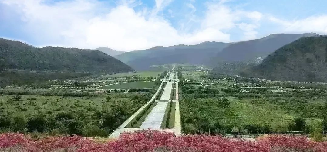 永乐高·(中国区)官方网站