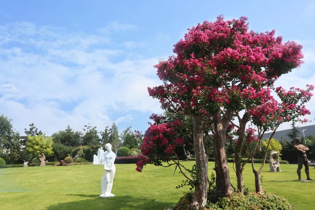 永乐高·(中国区)官方网站