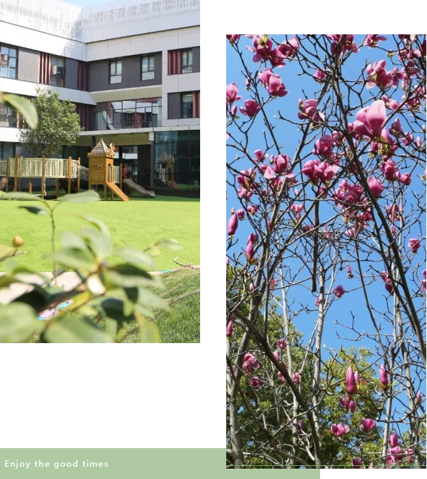 永乐高·(中国区)官方网站