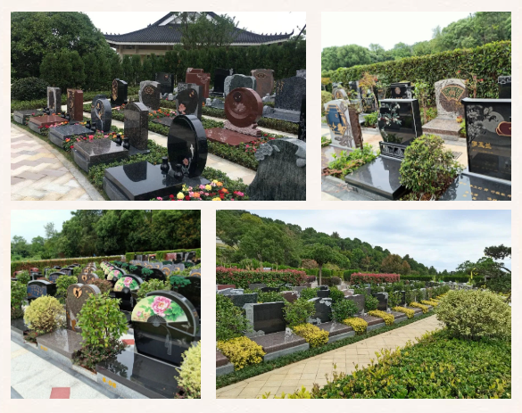 永乐高·(中国区)官方网站