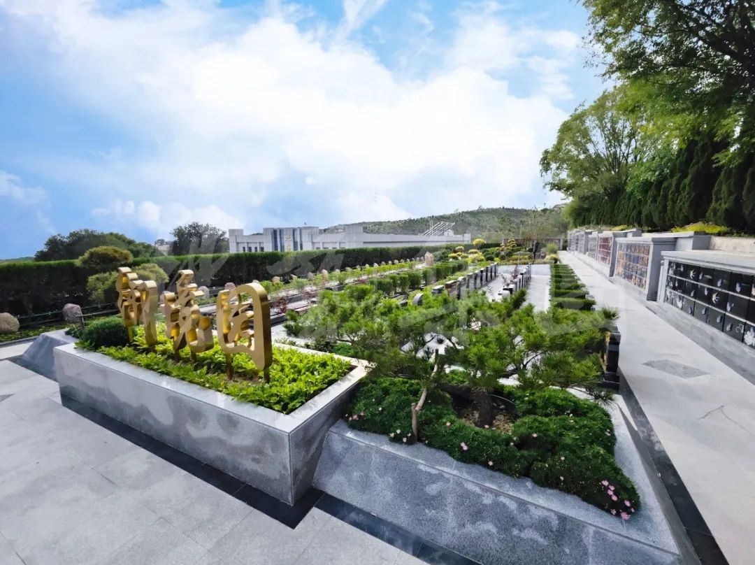 永乐高·(中国区)官方网站