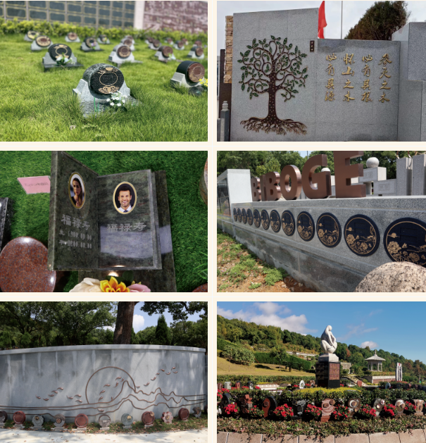 永乐高·(中国区)官方网站