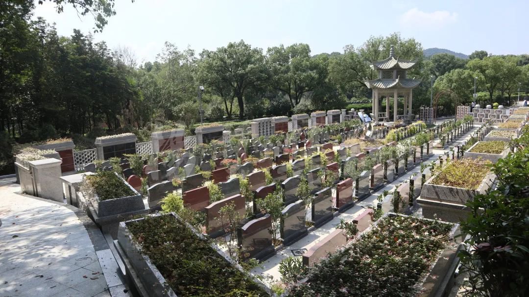 永乐高·(中国区)官方网站