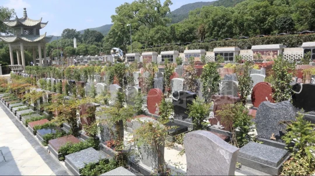 永乐高·(中国区)官方网站