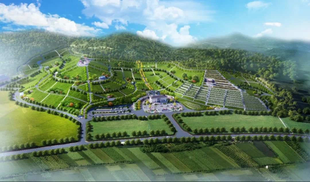 永乐高·(中国区)官方网站