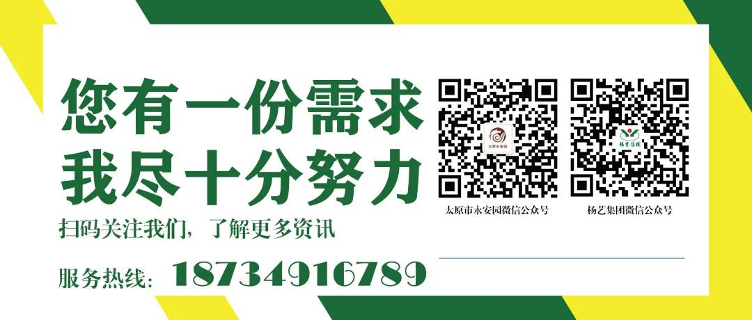 永乐高·(中国区)官方网站