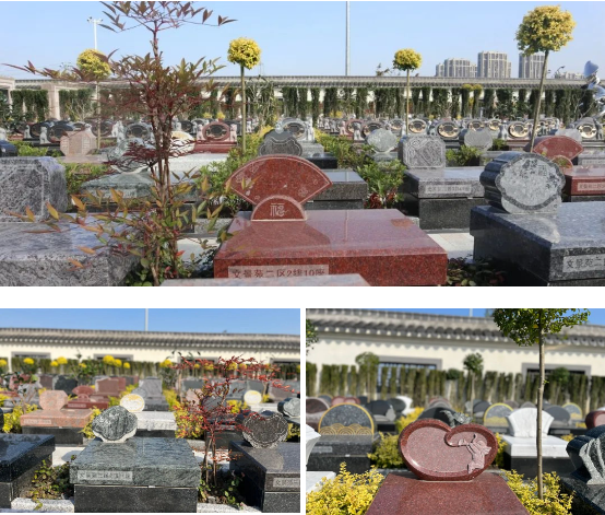 永乐高·(中国区)官方网站