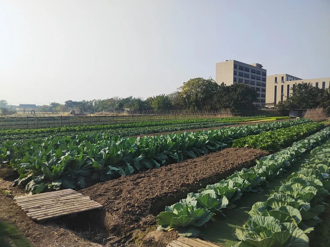 永乐高·(中国区)官方网站