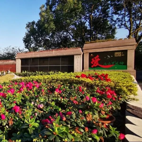 永乐高·(中国区)官方网站