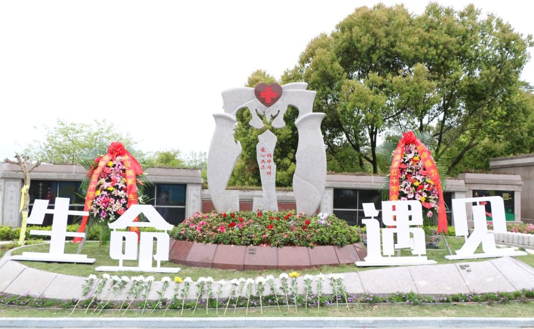 永乐高·(中国区)官方网站