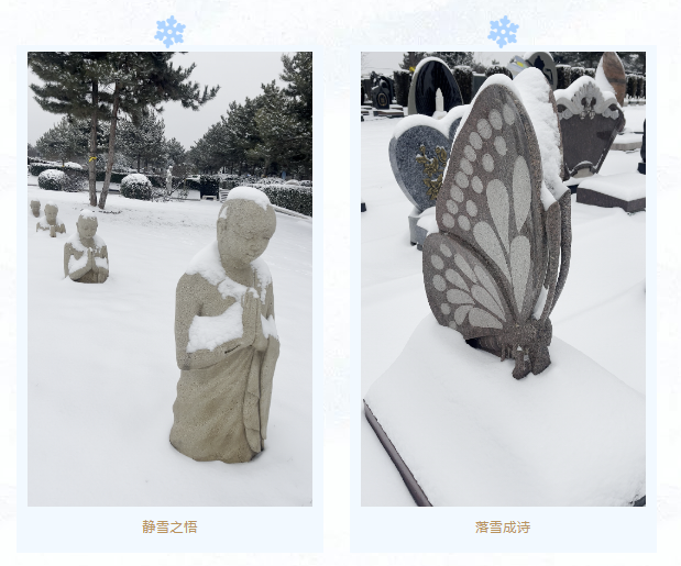 永乐高·(中国区)官方网站