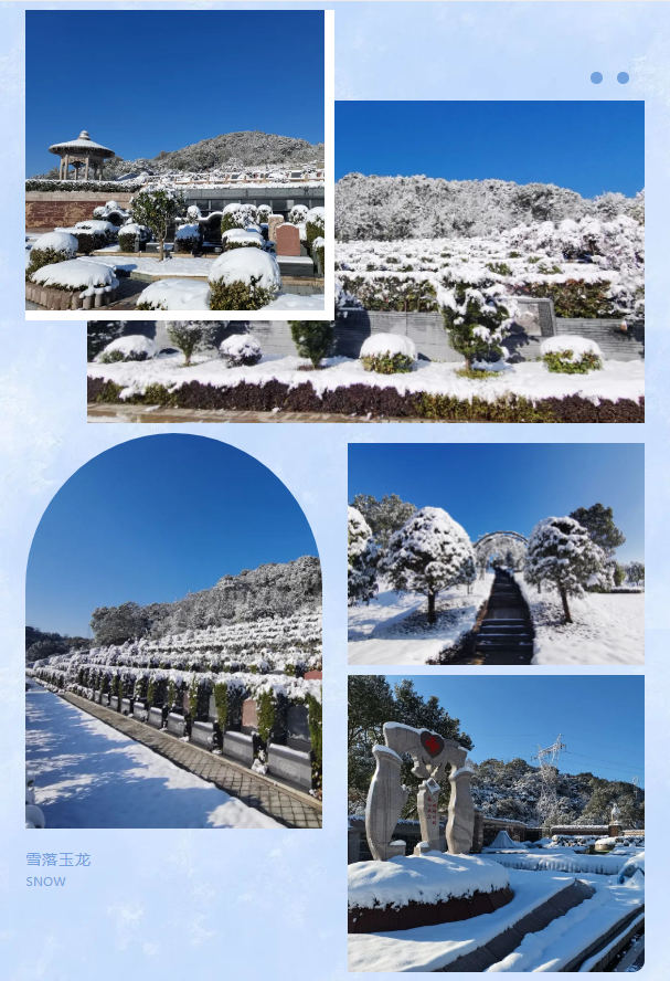 永乐高·(中国区)官方网站