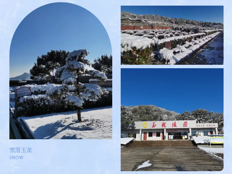 永乐高·(中国区)官方网站