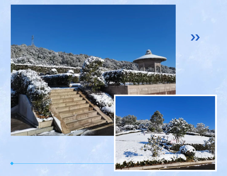 永乐高·(中国区)官方网站