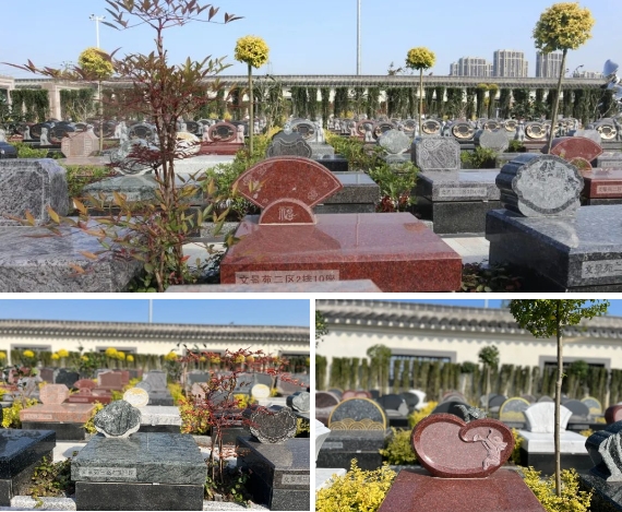 永乐高·(中国区)官方网站