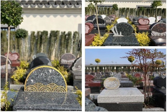 永乐高·(中国区)官方网站