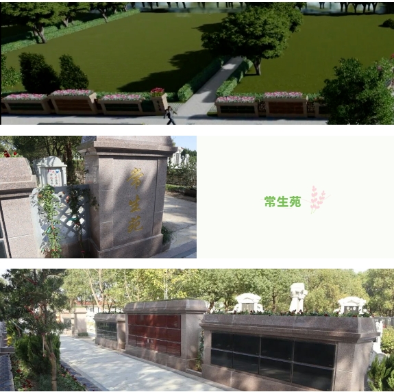 永乐高·(中国区)官方网站