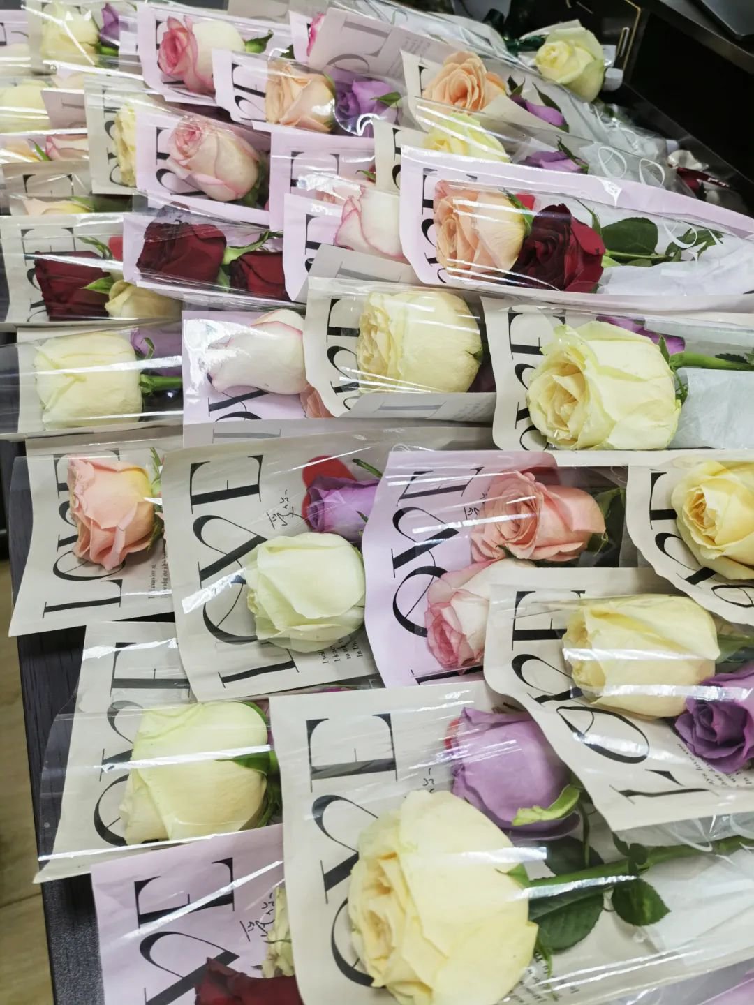 永乐高·(中国区)官方网站