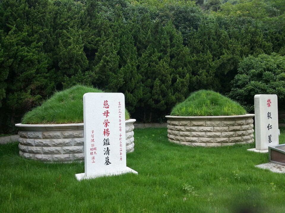 永乐高·(中国区)官方网站