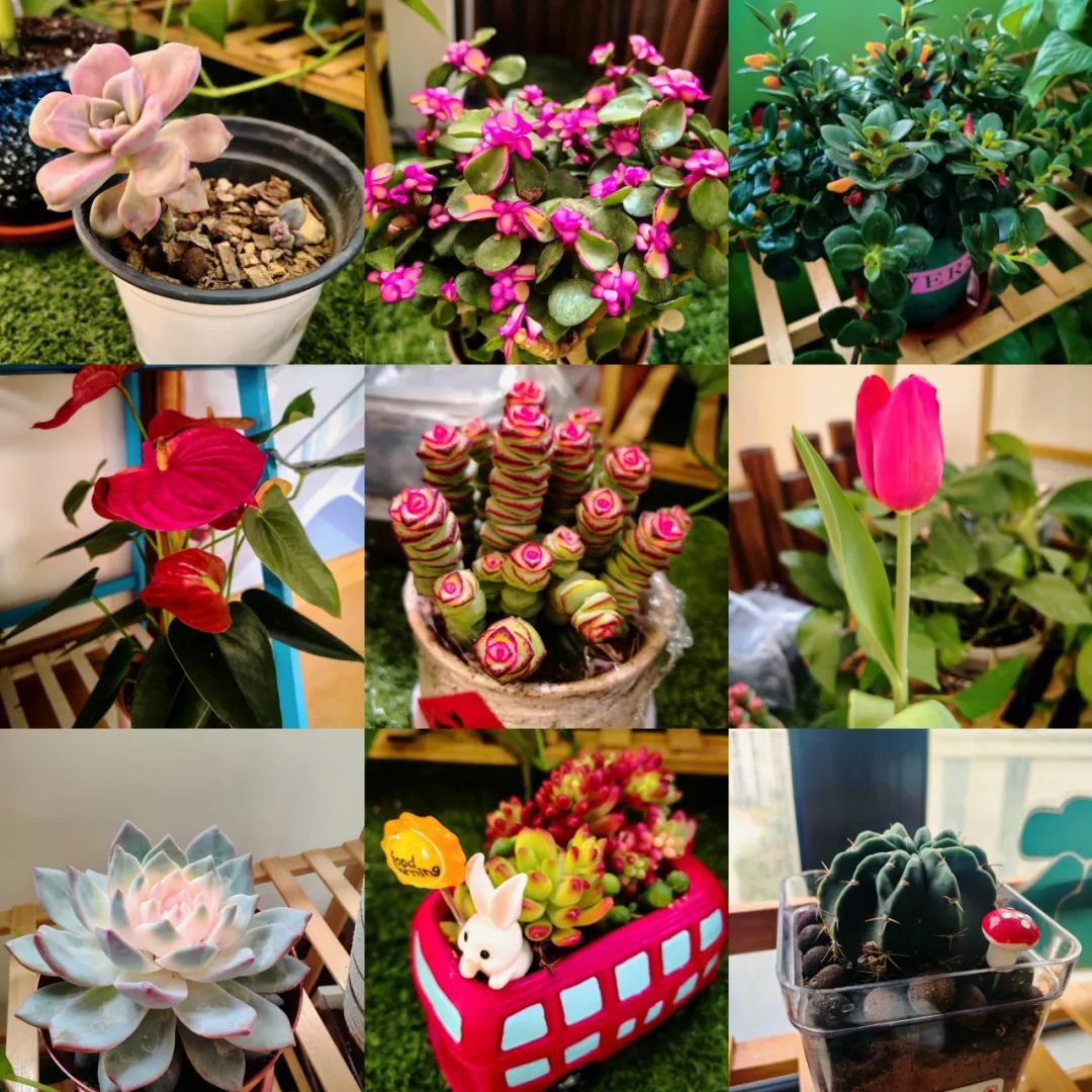 永乐高·(中国区)官方网站