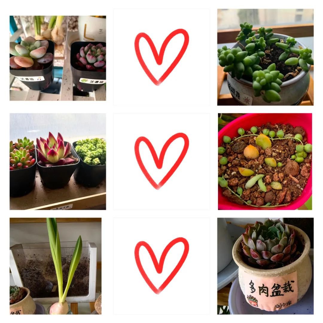 永乐高·(中国区)官方网站