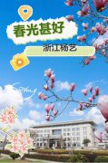 春分之韵|永乐高邀您共享春光