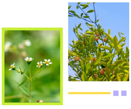 永乐高·(中国区)官方网站