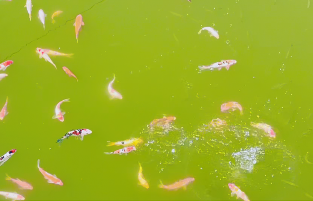 永乐高·(中国区)官方网站