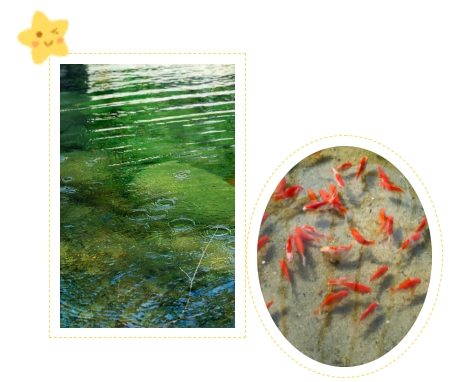 永乐高·(中国区)官方网站