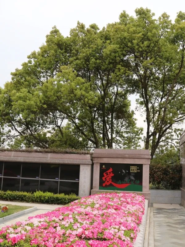 永乐高·(中国区)官方网站