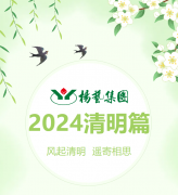 风起清明 遥寄相思|永乐高集团?2024清明篇